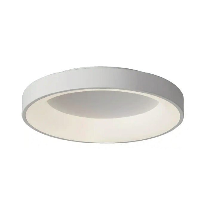 Loral Surface Downlight