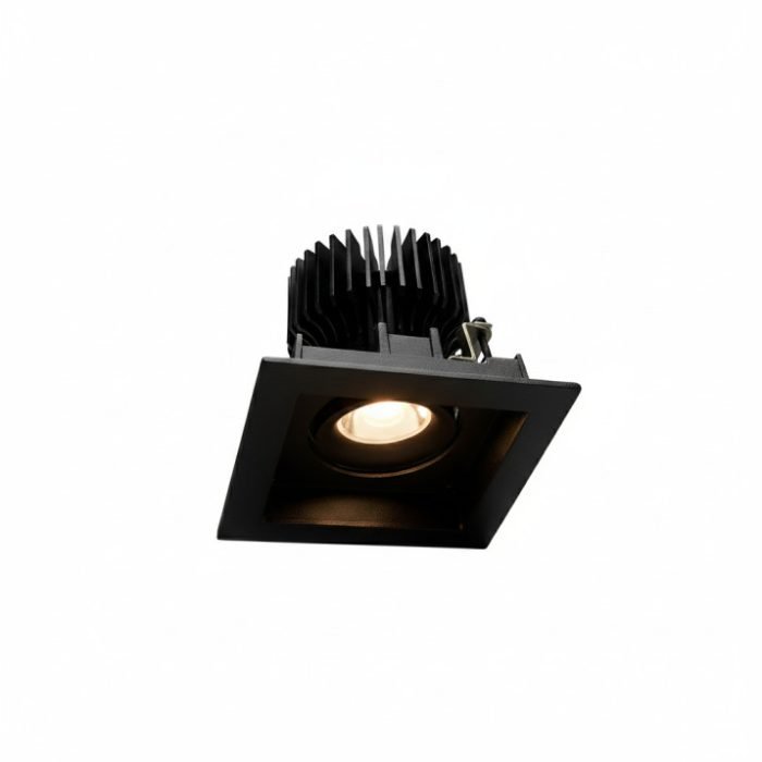 directionalrecessedlight