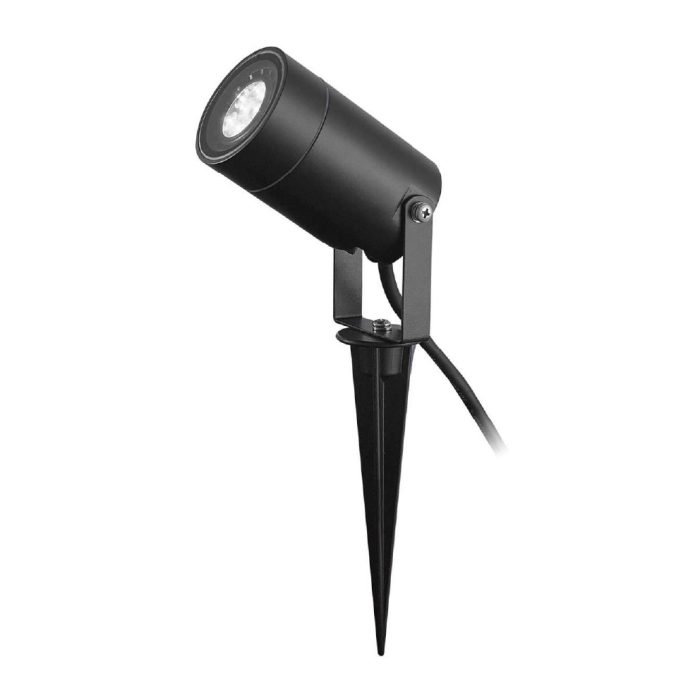 Highlight your garden or landscape with Tavi
